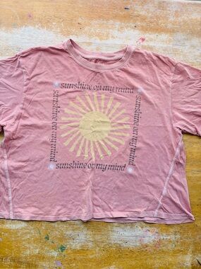 American Eagle Dusty Rose Terracotta Graphic Tee Crop womens large